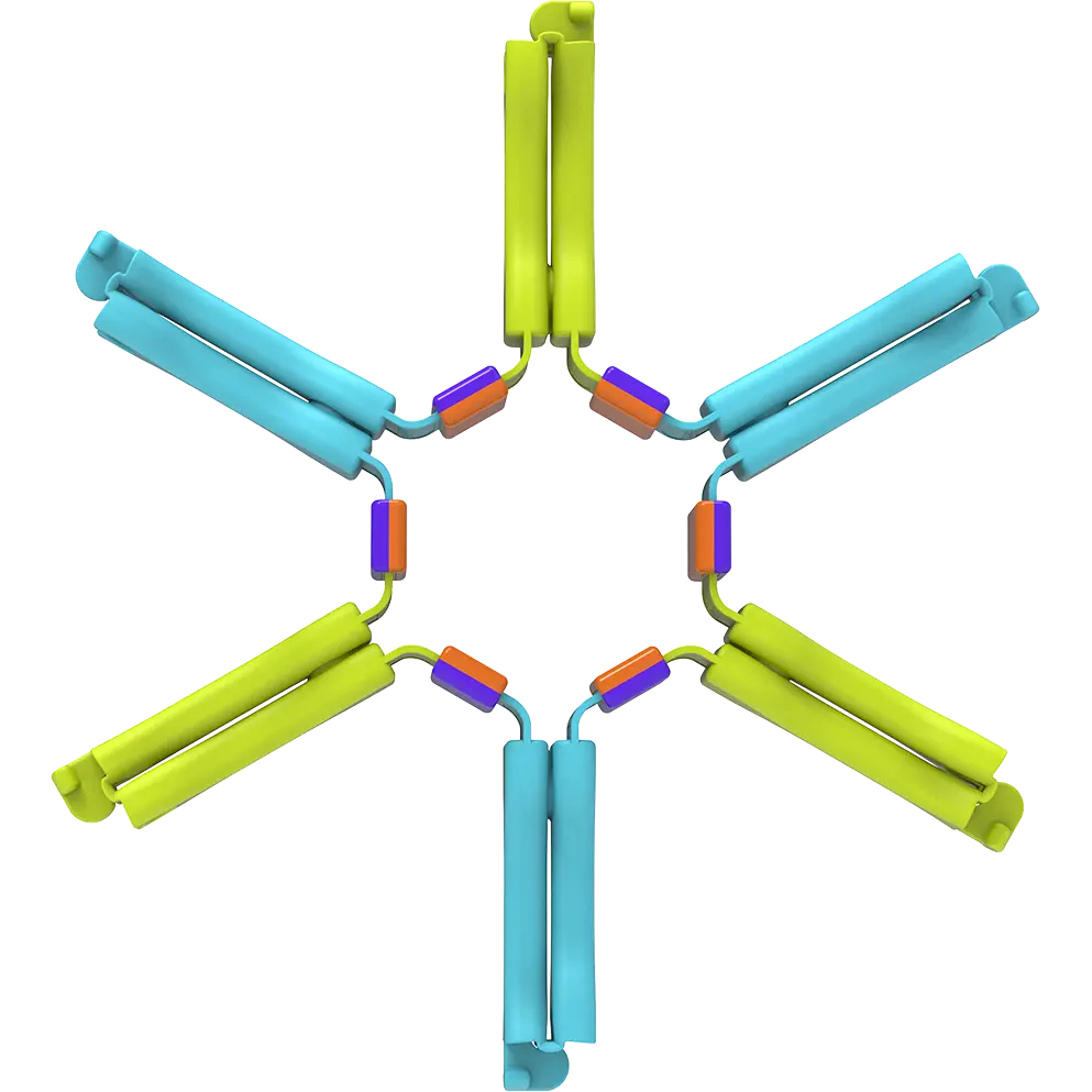 Nockles™ - Easy Fidget